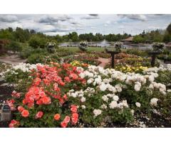 The 7 Best Bay Area Gardens