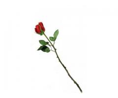 @@@ Girl next door I need your reply @@
