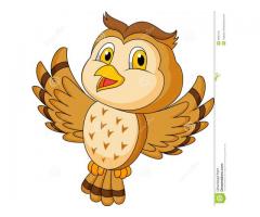 ### Make the Right choice..Seeking Regular ###