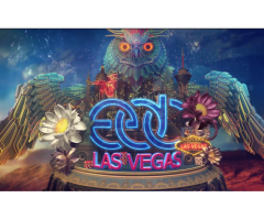 Electric Daisy Carnival 2015