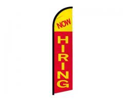 Now Hiring $500 Per Hour!