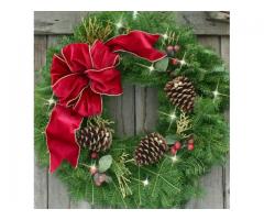 Happy Holidays!