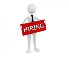 MALE DANCERS NEEDED NOW!